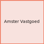 Amster Vastgoed